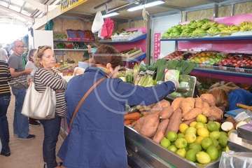 Narea abre como recova con ambiente navideño y de satisfacción general (Foto Francisco Javier Santana y TA)